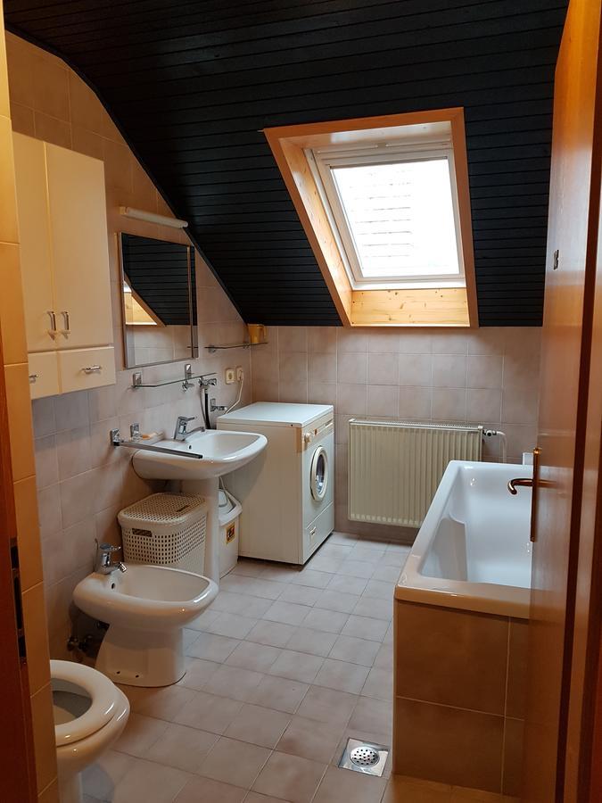 Apartment Manca Ljubljana Dış mekan fotoğraf