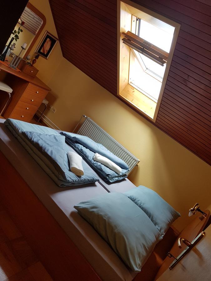 Apartment Manca Ljubljana Dış mekan fotoğraf